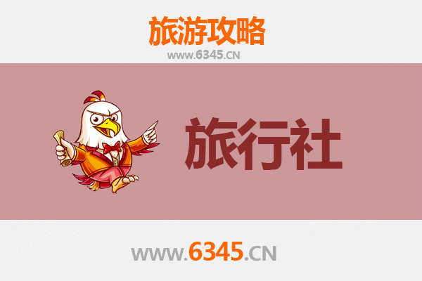 温州泰顺本地旅行社推荐及深度游玩攻略